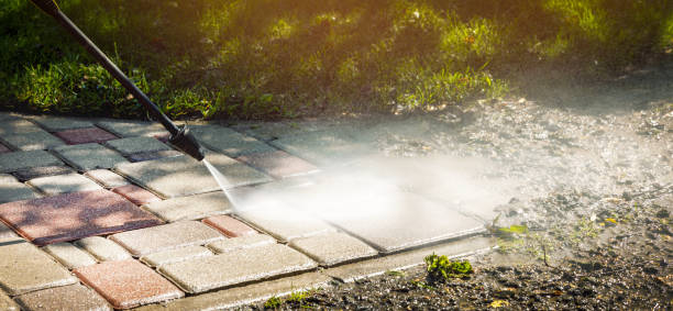 Trusted Sorgho, KY Pressure Washing Services Experts